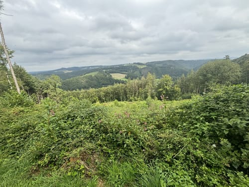 Über den Wiedweg ins Anxbachtal