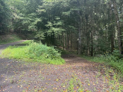 Über den Wiedweg ins Anxbachtal