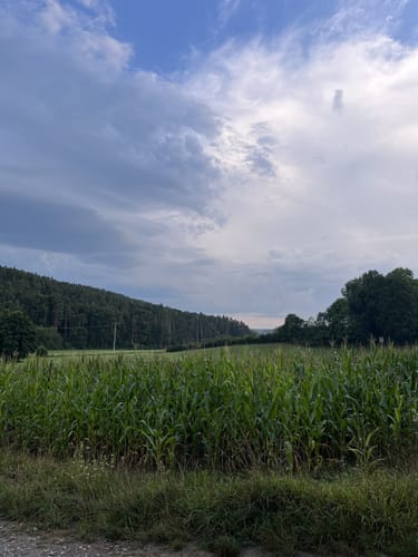 Lehrberg nach Buhlsbach