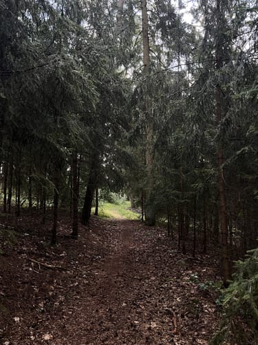 Lehrberg nach Buhlsbach