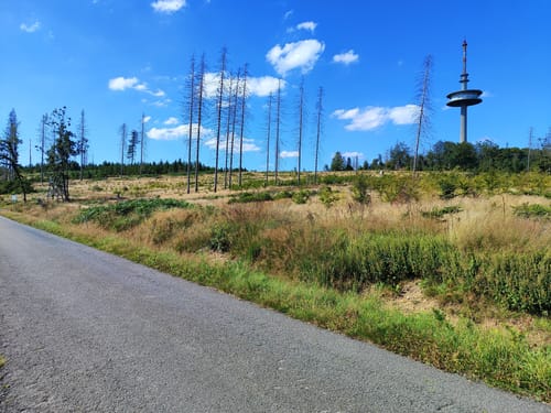 Königspfad Ebbegebirge (Sauerland) 