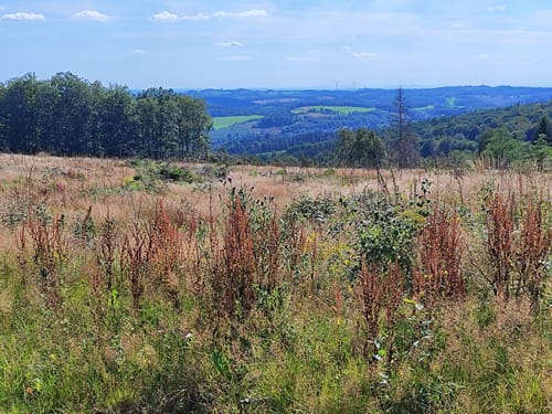 Königspfad Ebbegebirge (Sauerland) 