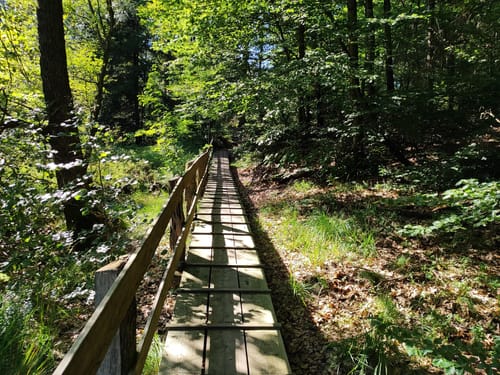 Königspfad Ebbegebirge (Sauerland) 