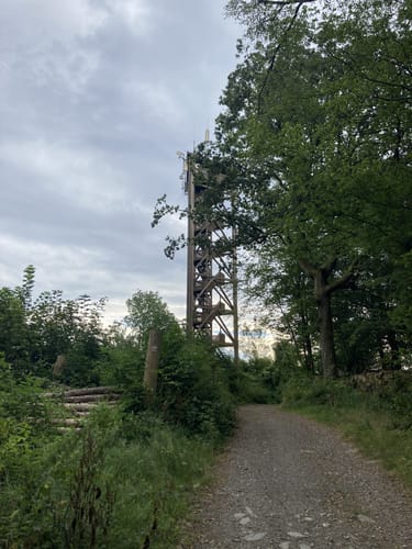 WesterwaldSteig Etappe 11: Kloster Marienthal - Weyerbusch