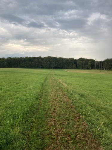 WesterwaldSteig Etappe 11: Kloster Marienthal - Weyerbusch