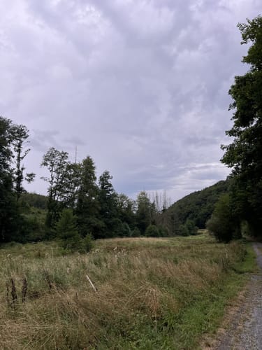 Durchs Grenzbachtal nach Werlenbach