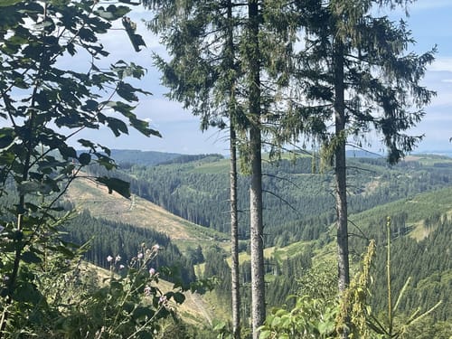 Wanderweg W4 (Westfeld)