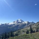 Skyline Divide Trail [CLOSED], Washington - 752 Reviews, Map | AllTrails