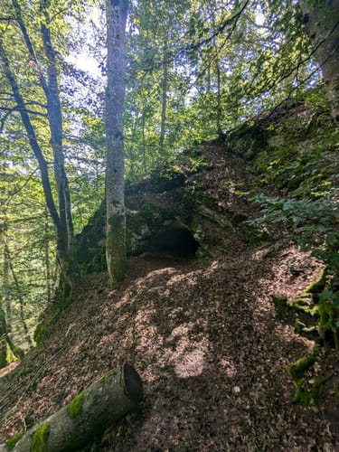 Tieringer Hörnle (HochAlbPfad)