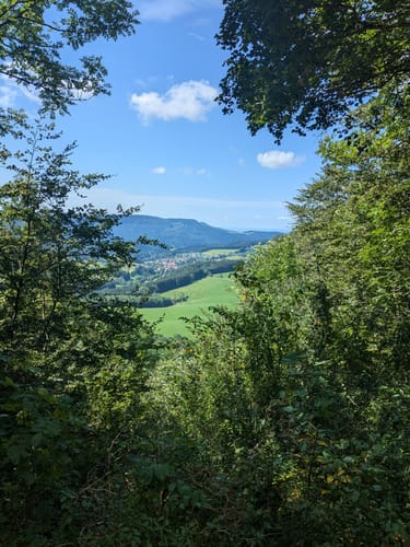 Tieringer Hörnle (HochAlbPfad)