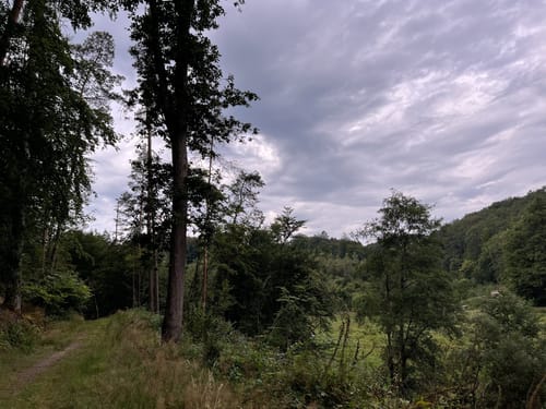 Durchs Grenzbachtal nach Werlenbach