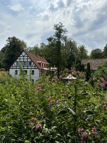 Entlang der Bille (Kurze Runde)