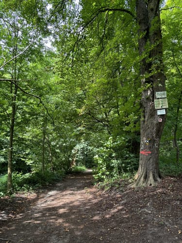 Entlang der Bille (Kurze Runde)