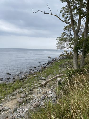 Fehmarn Hafentour