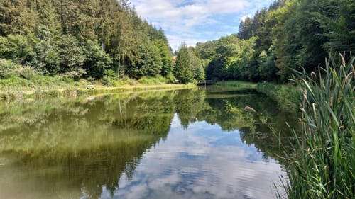 Drei Maare-Lieserpfad-Üdersdorfer Mühle-Rundweg