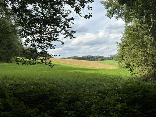 Schloss Homburg Runde