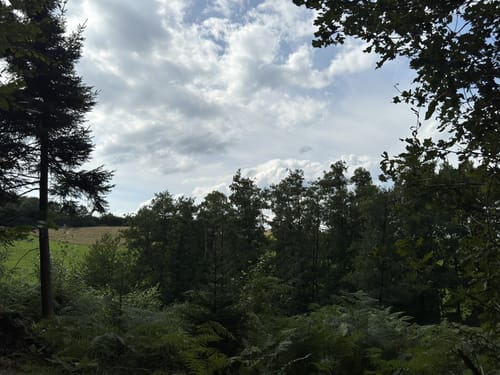 Schloss Homburg Runde