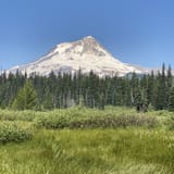 Elk Meadows South Trail, Oregon - 497 Reviews, Map | AllTrails