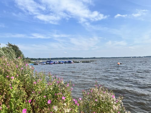 Zwischenahner Meerweg