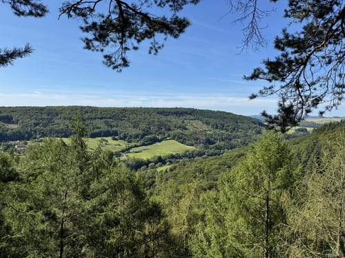 Von Bollendorf zum Marie-Theresien-Stein