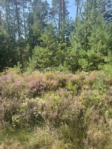 Durchs Mühllohbachtal