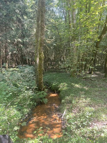 Durchs Mühllohbachtal