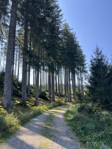 Diedorfer Hochweg und Anhauser Tal