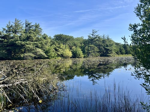 Panoramarute 404: Luft under Vingerne