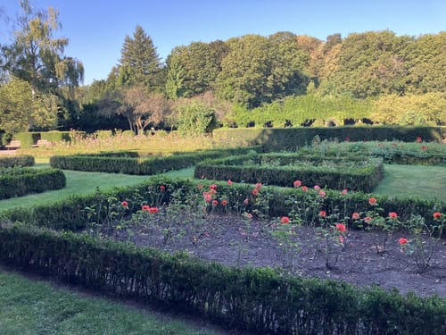 Volkspark Humboldthain Runde