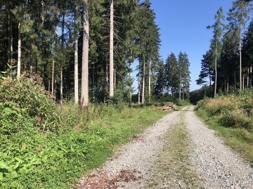 Um Ebenweiler und Oberholz