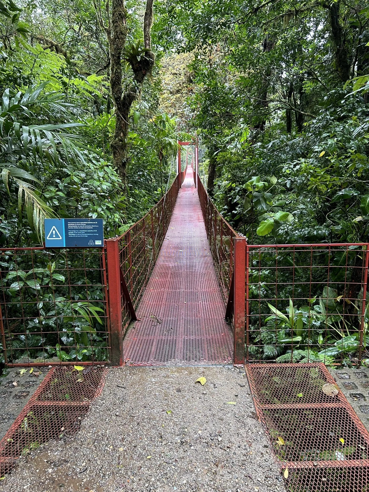 Cloud Forest - La Ventana Trail logo