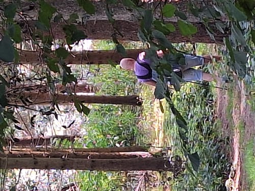 Kappleifelsentour (Traumschleife)