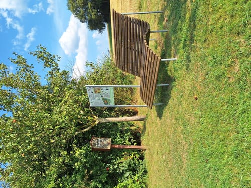 Kappleifelsentour (Traumschleife)