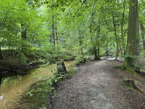 Hasselbachstausee - Danoperteich - Schlepperwiese Rundwanderung