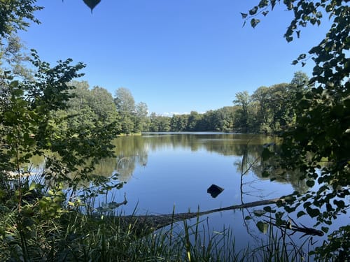 Kloster Chorin - Sandkrug Rundweg