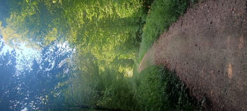 Müllheim - Eichwald - Vögisheim
