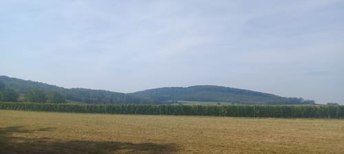 Müllheim - Eichwald - Vögisheim