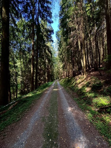 Sauerbachtal - Altenstadt
