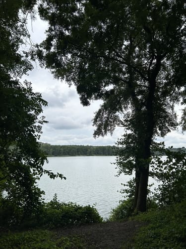 Um den Rudower See