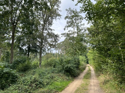 Um den Rudower See