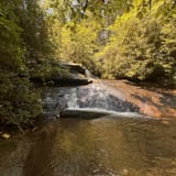 Butter Gap to Cat Gap Trail, North Carolina - 508 Reviews, Map | AllTrails