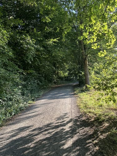 Um den Stadtpark Wieseckaue