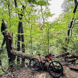 Royalview singletrack sale