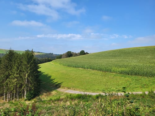 Runde an der Enz