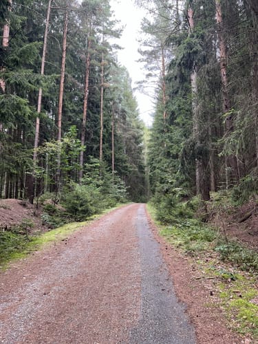 Von Aue zum Schieferloch Lößnitz