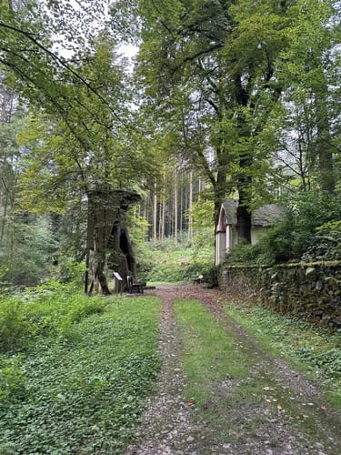 Neuer-Burg-Weg (NaturWanderPark)