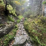 Sunset Ridge and Long Trail Loop, Vermont - 1,489 Reviews, Map | AllTrails