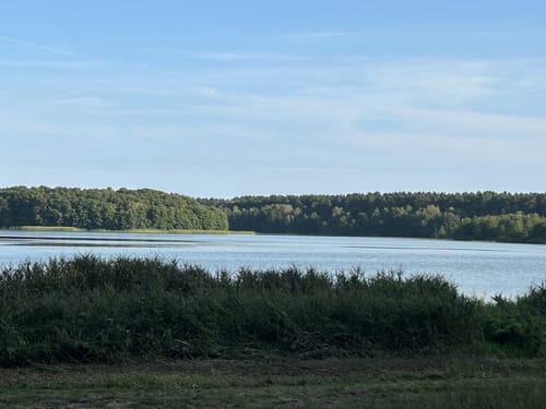 Zum Großen Zechliner See