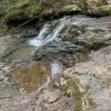 Dark Hollow Falls Trail Virginia - EyJidWNrZXQiOiJhc3NldHMuYWxsdHJhaWxzLmNvbSIsImtleSI6InVwbG9hZHMvcGhvdG8vaW1hZ2UvODI3MTkxODMvYjg5ZTIyZDEzYWZkNDBlODU1OTU3OTFlMWI3NmU0YWQuanBnIiwiZWRpdHMiOnsidG9Gb3JtYXQiOiJqcGVnIiwicmVzaXplIjp7IndpZHRoIjoxNjAsImhlaWdodCI6MTYwLCJmaXQiOiJjb3ZlciJ9LCJyb3RhdGUiOm51bGwsImpwZWciOnsidHJlbGxpc1F1YW50aXNhdGlvbiI6dHJ1ZSwib3ZlcnNob290RGVyaW5naW5nIjp0cnVlLCJvcHRpbWlzZVNjYW5zIjp0cnVlLCJxdWFudGlzYXRpb25UYWJsZSI6M319fQ==