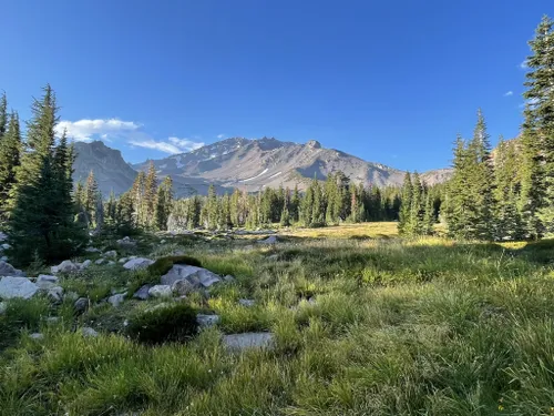 Panther Meadows Trail California 175 Reviews Map AllTrails